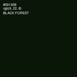 #091608 - Black Forest Color Image